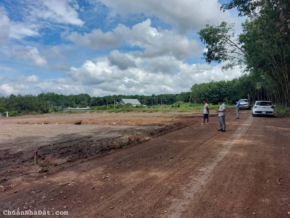 Chị tôi cần tiền nên ra gấp 1 sào đất ở Dầu Tiếng Chị tôi cần tiền nên ra gấp 1 sào đất ở Dầu Tiếng