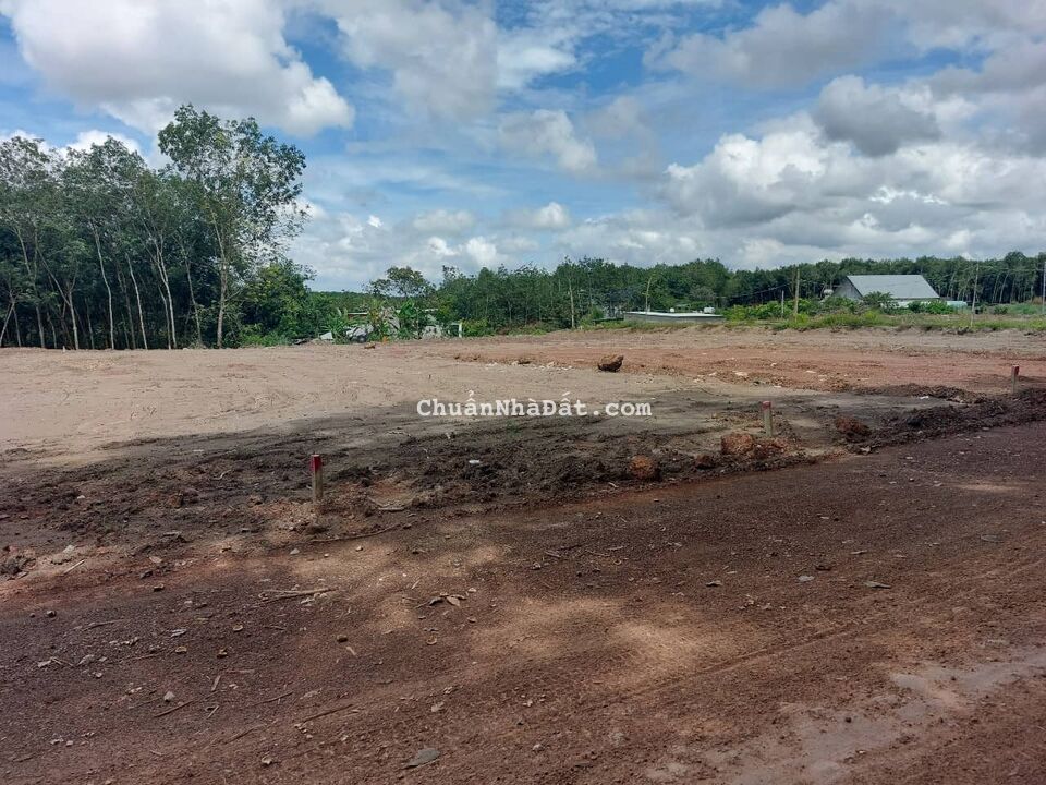 Chị tôi cần tiền nên ra gấp 1 sào đất ở Dầu Tiếng Chị tôi cần tiền nên ra gấp 1 sào đất ở Dầu Tiếng