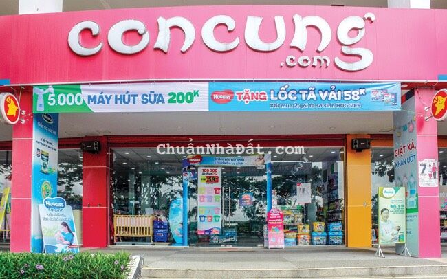 Chính chủ bán gấp đất MT Nguyễn Xuân Phụng, phường 2,quận 6,diện tích 100m2, giá 2,2 tỷ