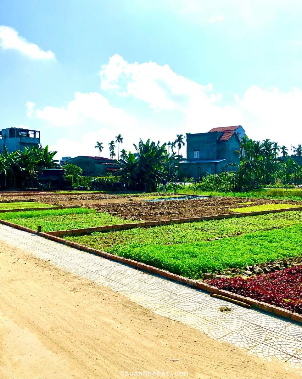 Đất ven sông Thị Trấn giá sốc Aí nghĩa chỉ 390Triệu sổ sẵn sỏ hữu ngay