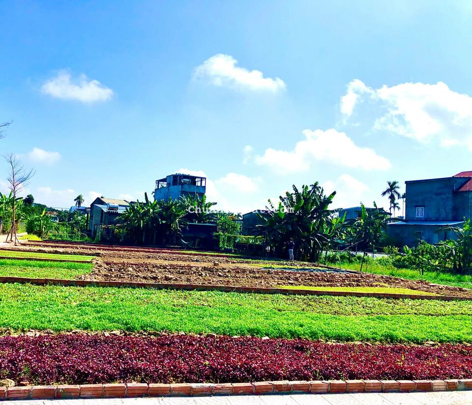 Đất ven sông Thị Trấn giá sốc Aí nghĩa chỉ 390Triệu sổ sẵn sỏ hữu ngay