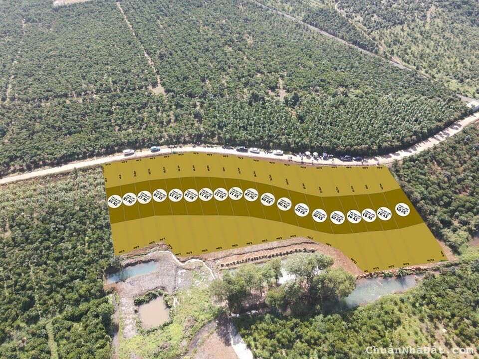 Sành villa Bảo lộc hot nhất tại thời điểm  vàng cho các nhà đầu tư