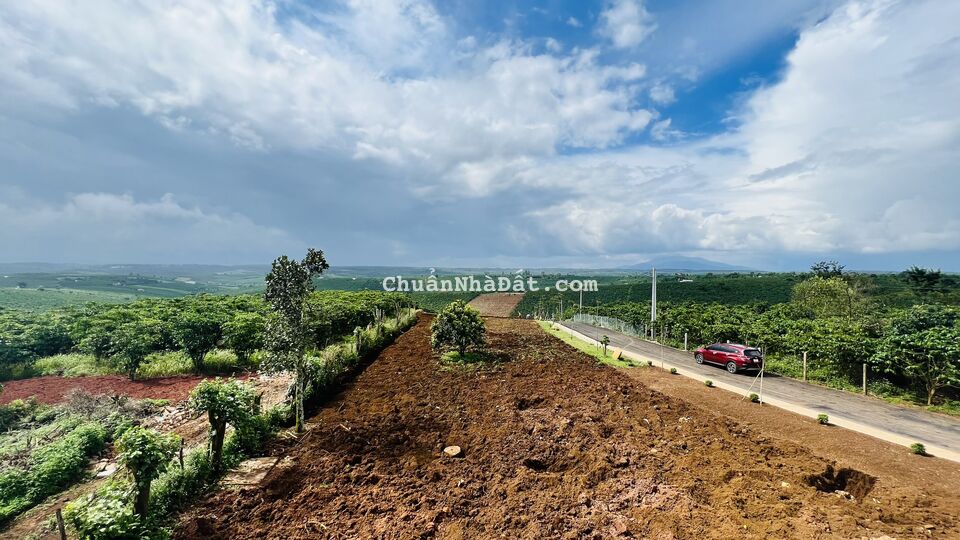 Vị trí đẹp tại Bảo Lộc Lâm đồng khai thác du lịch 4 mùa Vị trí đẹp tại Bảo Lộc Lâm đồng khai thác du lịch 4 mùa