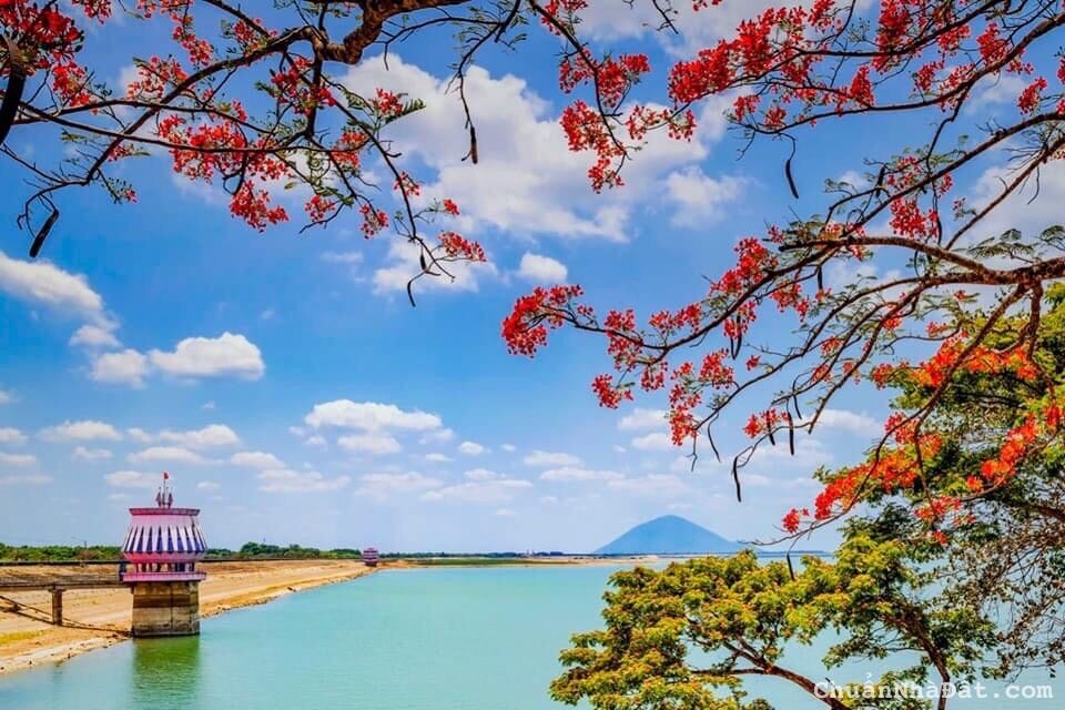 Đất ngay sát ĐT 781, thị trấn Dương Minh Châu - Núi Bà Đen giá rẻ