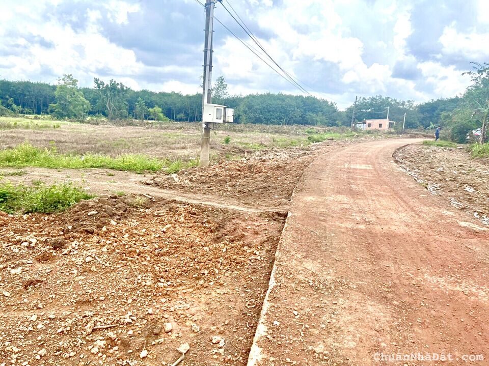 Gia Đình cần tiền bán gấp lô đất ngay UBND Tân Lợi, sát KCN Becamex Đồng Phú, sổ sẵn