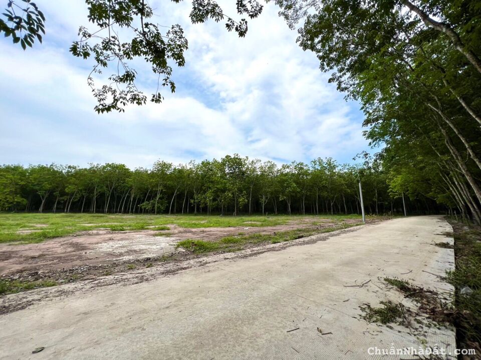 Giá chốt hạ tận rễ, chủ cần ra lô cặp liền kề ngay khu công nghiệp Tân Quan