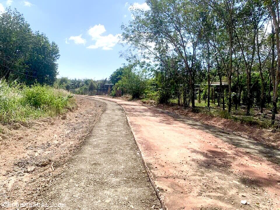 Bán nhanh lô đất ngay KCN Becamex và sát UBND Tân Lợi, sổ sẵn giá chạm đáy