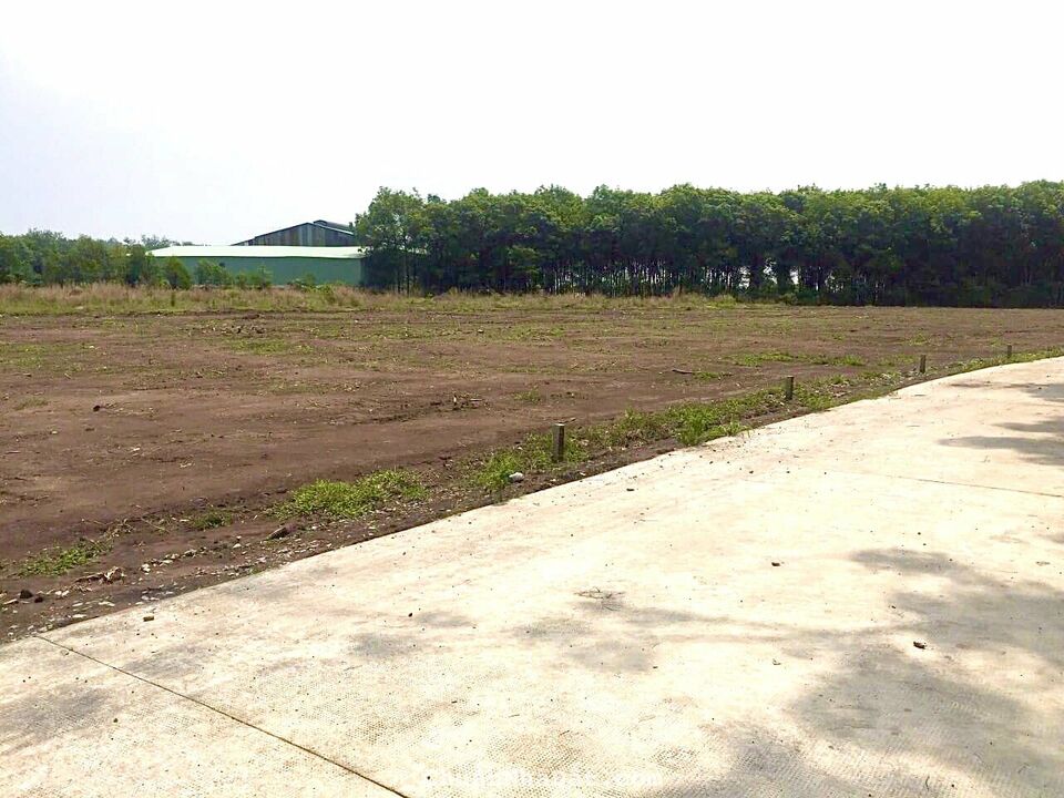 cần ra gấp lô đất cặp ngay trung tâm kcn Tân Quan, giá rẻ chạm đáy