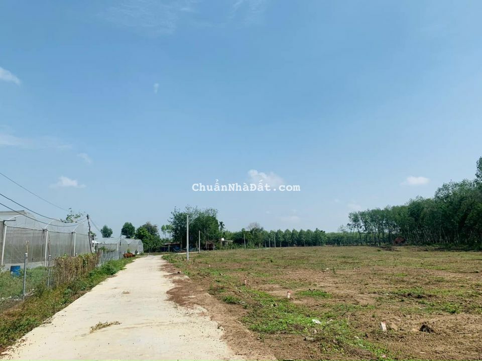 Đất ngay KCN Tân Quan, sát trục ĐT 756B giá cắt lỗ chỉ từ 450 triệu 