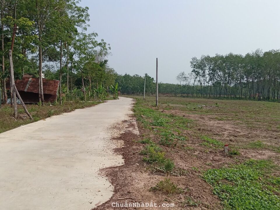 Đất ngay KCN Tân Quan, sát trục ĐT 756B giá cắt lỗ chỉ từ 450 triệu 