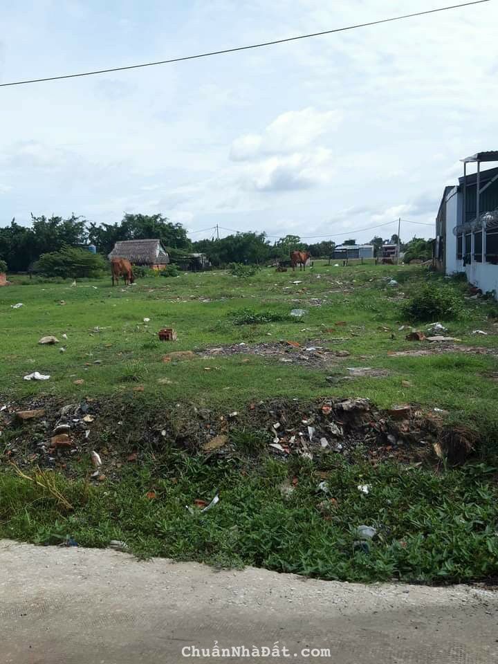 Bán rẻ đất vĩnh lộc A, bình chánh 20x50 SDR 9 tỷ 500tr