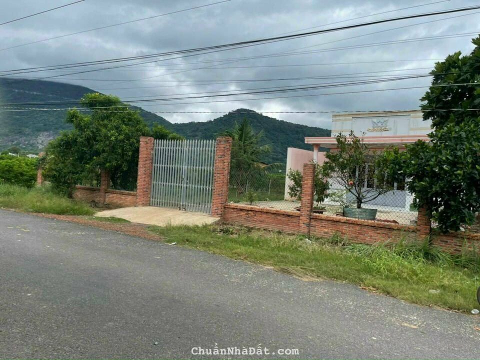 Bán đất mẫu tây ninh giá rẻ nhất khu vực 30x200 Giá 6.5 tỷ Bán đất mẫu tây ninh giá rẻ nhất khu vực 30x200 Giá 6.5 tỷ