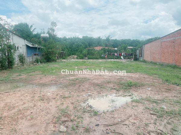 Bán đất ấp xóm mới 2 thanh phước gò dầu Dt. 16 x 36 sổ nở hậu 18 đẹp Bán đất ấp xóm mới 2 thanh phước gò dầu Dt. 16 x 36 sổ nở hậu 18 đẹp
