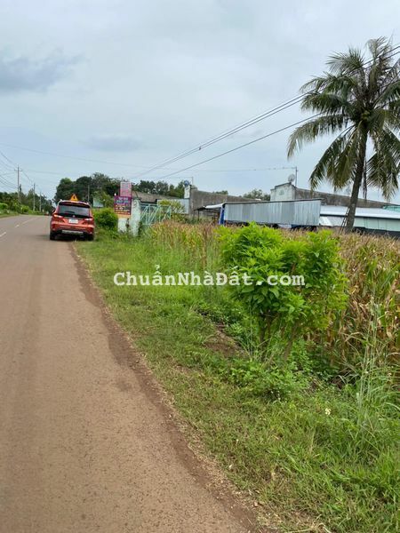 Bán đất cẩm mỹ đồng nai Trục đường chính liên thông các Xã. Bán đất cẩm mỹ đồng nai Trục đường chính liên thông các Xã.