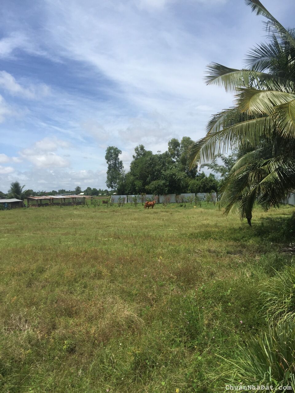 Lô đất 2 mặt tiền đường nhựa, hiện hữu có căn nhà trên đất 