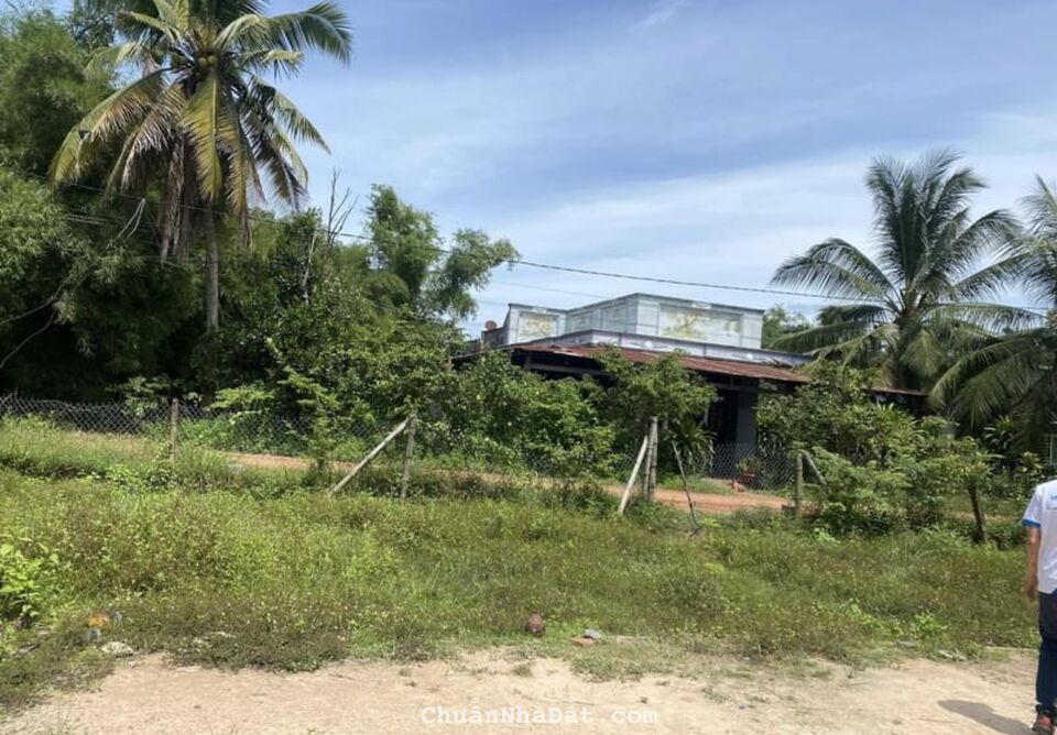 2 LÔ LIỀN KỀ FULL THỔ, SHR, TT BẾN CẦU 2 LÔ LIỀN KỀ FULL THỔ, SHR, TT BẾN CẦU