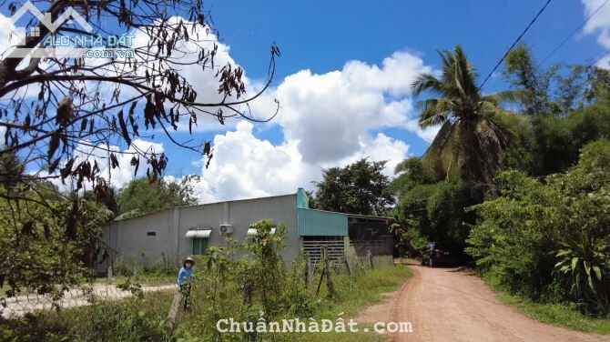 Cần Bán 2 lô liền kề SHR ngay Bến Cầu, Tây Ninh