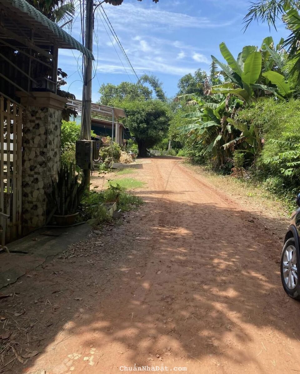 2 LÔ LIỀN KỀ FULL THỔ, SHR, TT BẾN CẦU 2 LÔ LIỀN KỀ FULL THỔ, SHR, TT BẾN CẦU