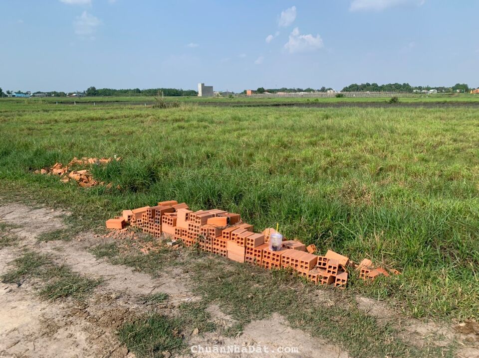 Bán Gấp 163m2 Đất Cát Tường Phú Sinh, Mỹ Hạnh Bắc, Sổ Hồng Riêng, Giá 1 tỷ 3