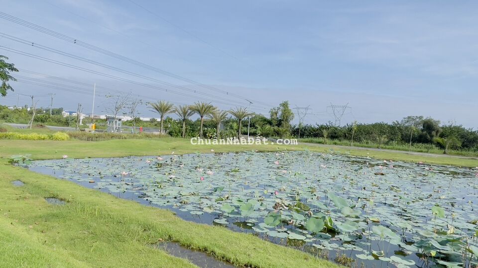 Trả Trước 20% Nhận Đất, Chiết Khấu Khủng 10%, Có Sẵn Hợp Đồng Thuê Đất 5 Triệu/Tháng, SHR