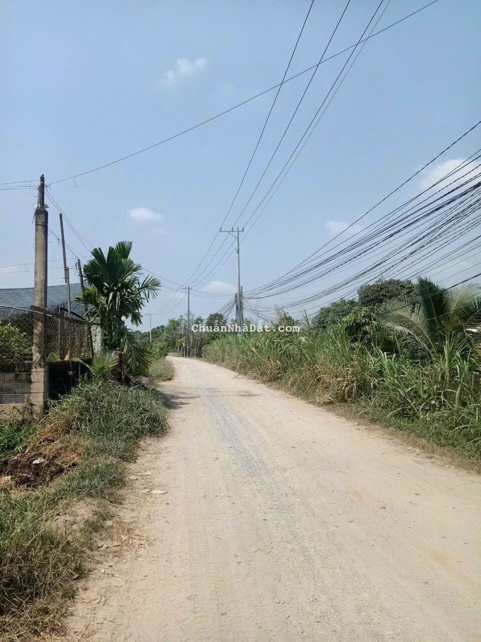 Ngộp Bán Gấp 500m2 Đất, Xã Hòa Khánh Đông, Đức Hòa, SHR, Giá Rẻ Nhất Xã