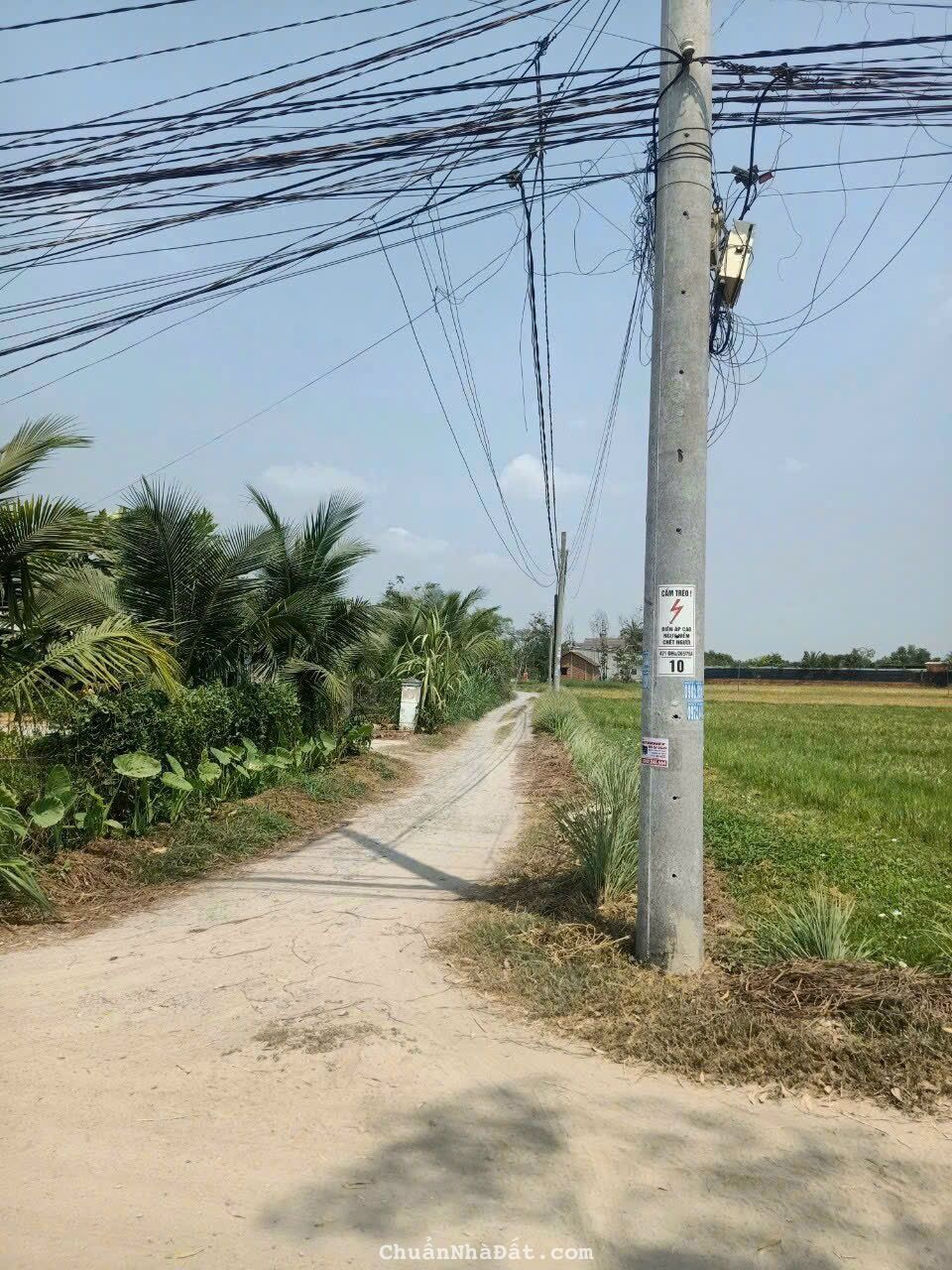 Ngộp Bán Gấp 500m2 Đất, Xã Hòa Khánh Đông, Đức Hòa, SHR, Giá Rẻ Nhất Xã