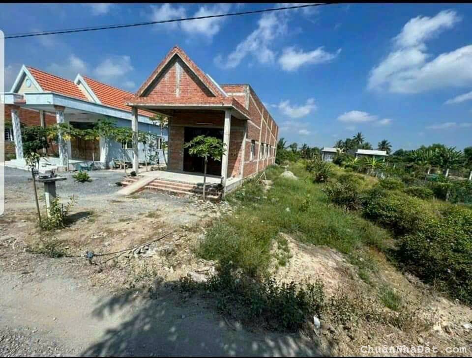 Ngộp Bán Gấp 2000m2 Đất Vườn, Xã Bình Đức, Bến Lức, SHR, Giá Rẻ