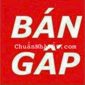 Ngộp Bán Gấp 2000m2 Đất Vườn, Xã Bình Đức, Bến Lức, SHR, Giá Rẻ