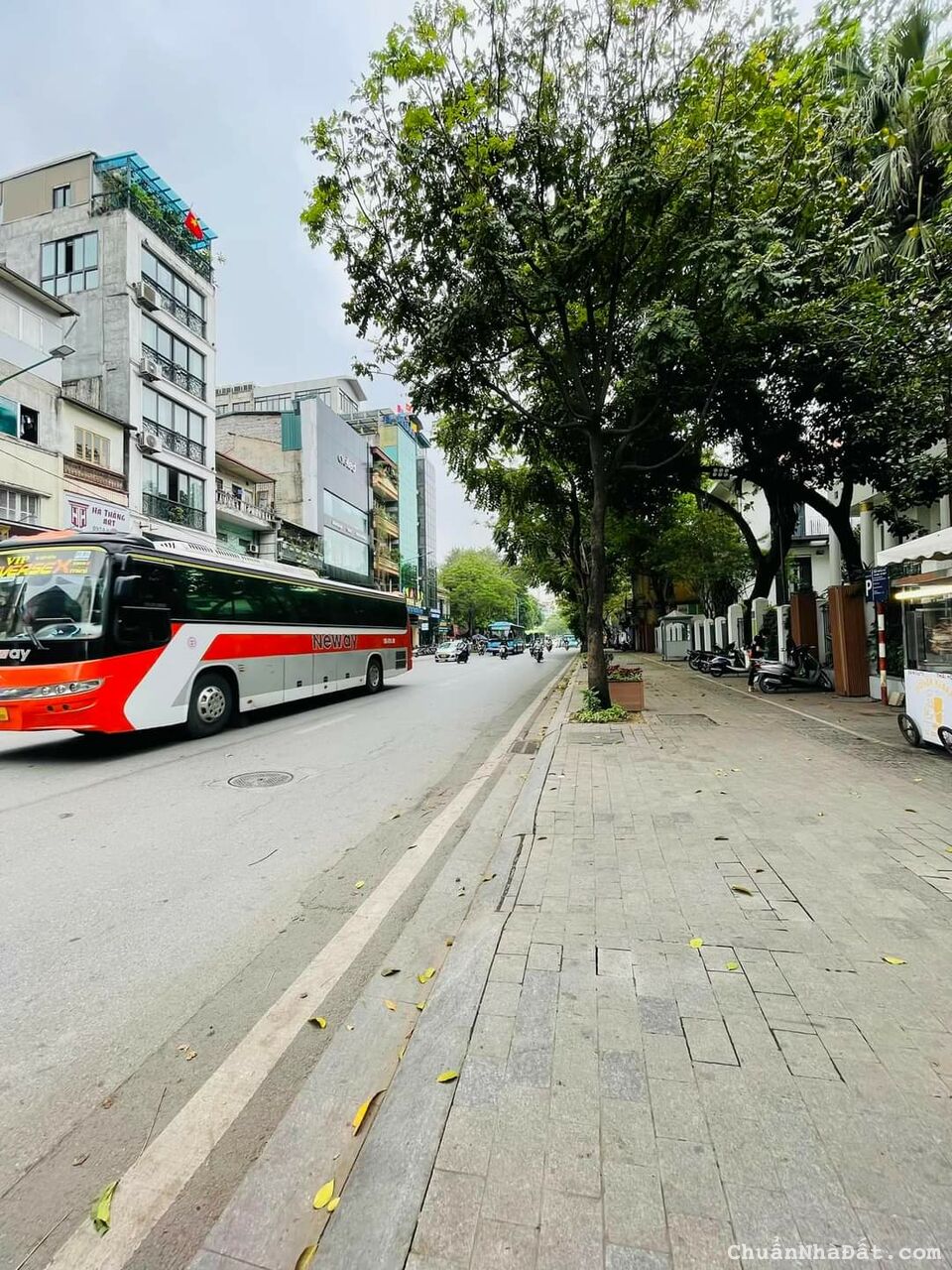 BÁN NHÀ PHỐ VIP - MẶT PHỐ NGUYỄN THÁI HỌC SIÊU HIẾM GIÁ ĐẦU TƯ - DT 248M2 NHỈNH 148.X TỶ 