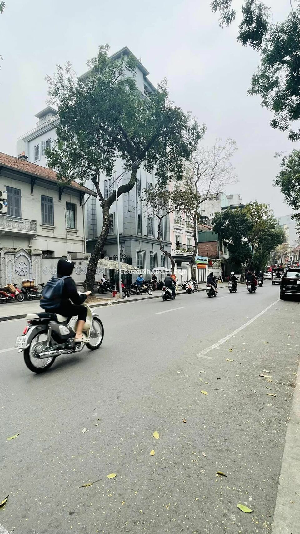 BIỆT THỰ MẶT PHỐ NGÔ THỊ NHẬM - VỊ TRÍ ĐẮC ĐỊA CỰC HIẾM NHÀ BÁN - KINH DOANH ĐA DẠNG NGÀY ĐÊM