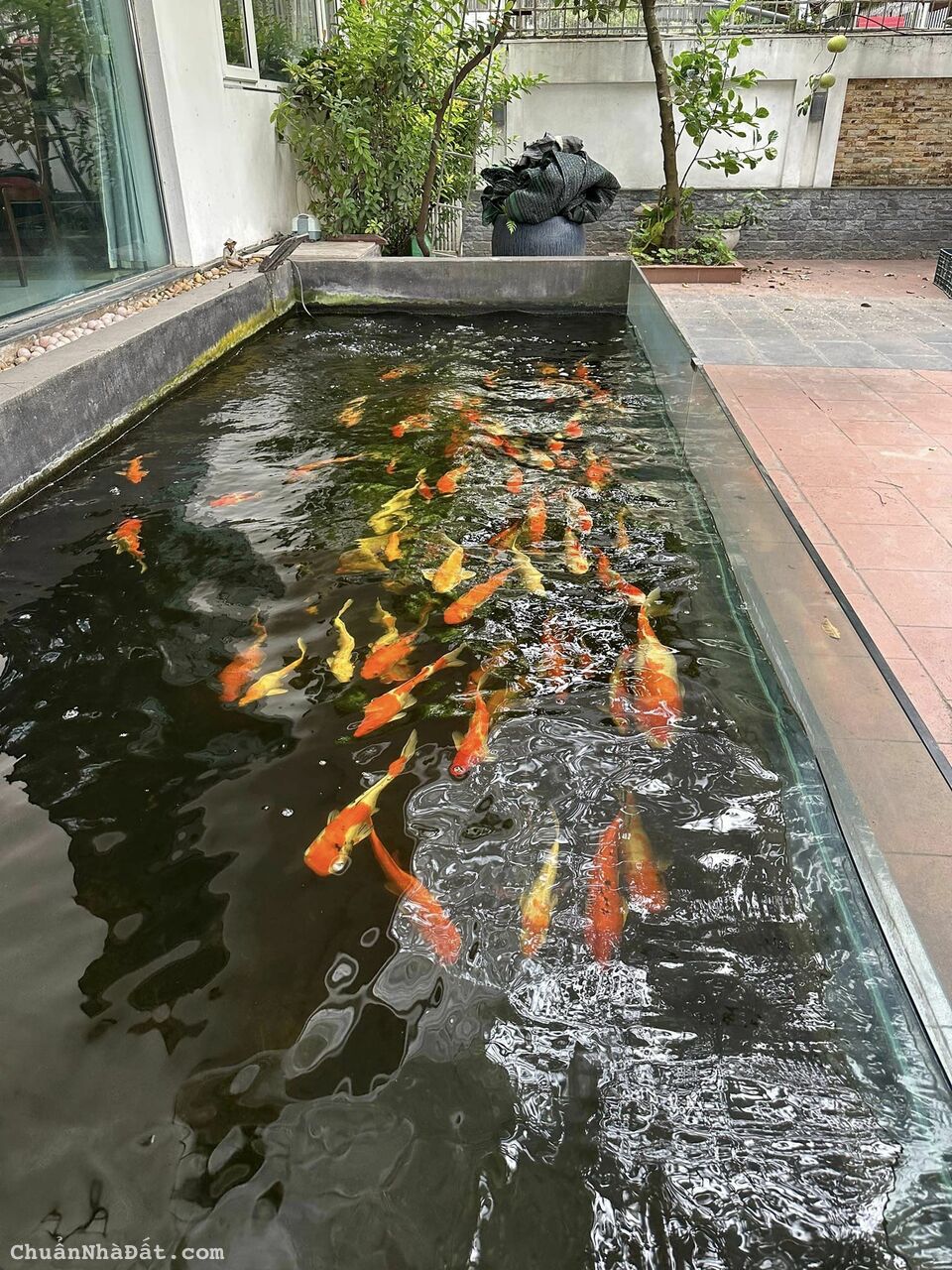 MẶT PHỐ TRẦN THỦ ĐỘ - VỊ TRÍ ĐẮC ĐỊA - LÔ GÓC KINH DOANH - MỞ BÁN 1 CĂN DUY NHẤT MẶT PHỐ TRẦN THỦ ĐỘ - VỊ TRÍ ĐẮC ĐỊA - LÔ GÓC KINH DOANH - MỞ BÁN 1 CĂN DUY NHẤT