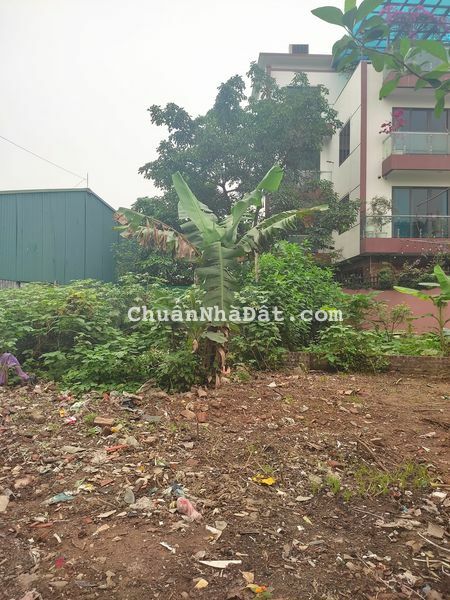 BÁN ĐẤT MẶT PHỐ KIM MÃ THƯỢNG - VỊ TRÍ ĐẮC ĐỊA TRUNG TÂM BA ĐÌNH - KINH DOANH NGÀY ĐÊM