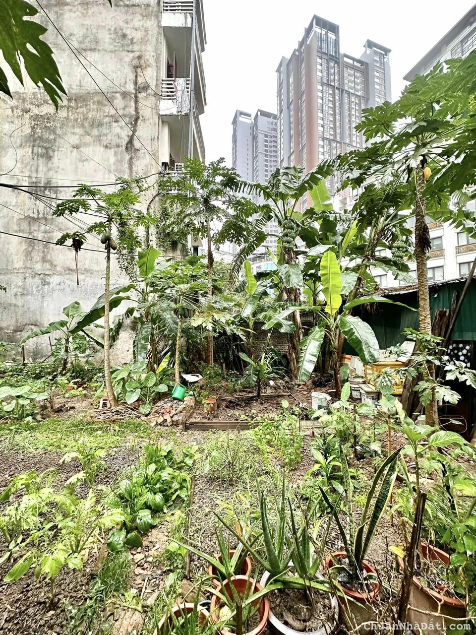 BÁN ĐẤT ĐƯỜNG LÊ VĂN LƯƠNG - VỊ TRÍ ĐẮC ĐỊA SIÊU HIẾM - 1 MẢNH DUY NHẤT CÒN LẠI BÁN ĐẤT ĐƯỜNG LÊ VĂN LƯƠNG - VỊ TRÍ ĐẮC ĐỊA SIÊU HIẾM - 1 MẢNH DUY NHẤT CÒN LẠI