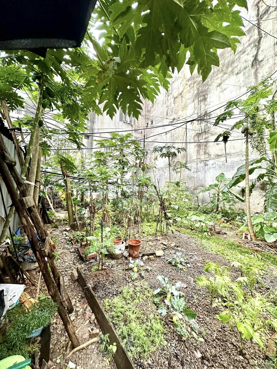 BÁN ĐẤT ĐƯỜNG LÊ VĂN LƯƠNG - VỊ TRÍ ĐẮC ĐỊA SIÊU HIẾM - 1 MẢNH DUY NHẤT CÒN LẠI BÁN ĐẤT ĐƯỜNG LÊ VĂN LƯƠNG - VỊ TRÍ ĐẮC ĐỊA SIÊU HIẾM - 1 MẢNH DUY NHẤT CÒN LẠI