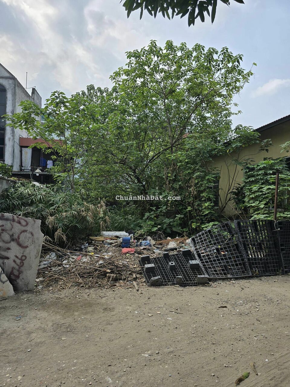 BÁN ĐẤT NGÕ 271 LẠC LONG QUÂN - VỊ TRÍ VIP Ô TÔ TRÁNH KINH DOANH - DT 160M2 GIÁ CHÀO 26 TỶ