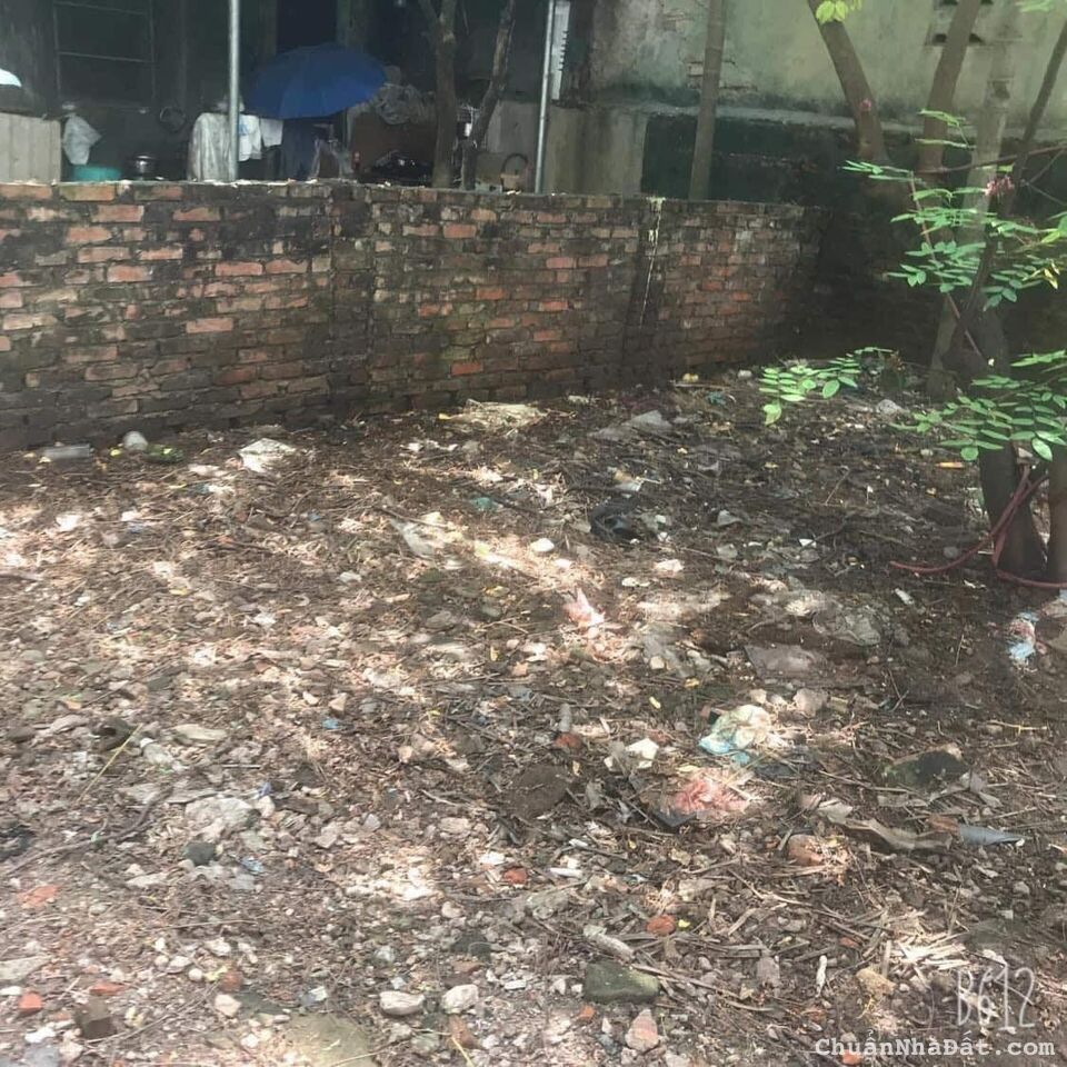 BÁN ĐẤT MẶT PHỐ NGHI TÀM - VỊ TRÍ ĐẮC ĐỊA - KINH DOANH SẦM UẤT - GIÁ ĐẦU TƯ 