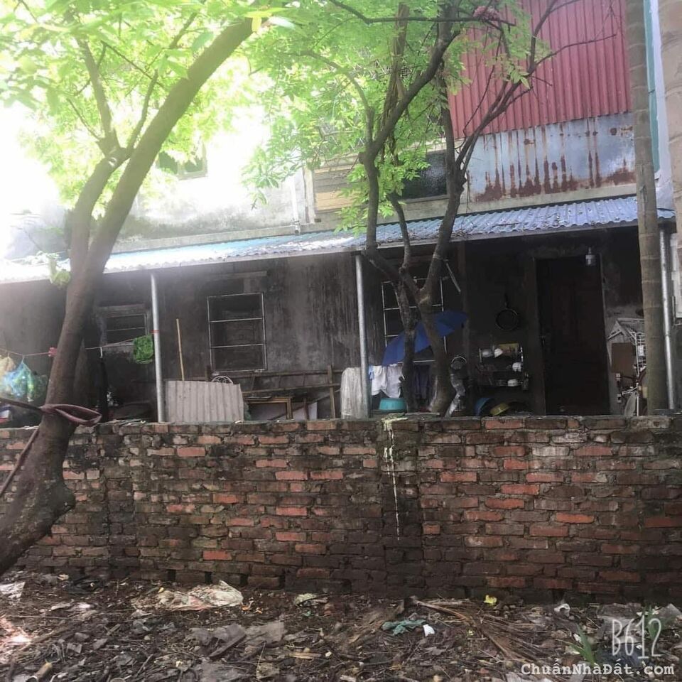 BÁN ĐẤT MẶT PHỐ NGHI TÀM - VỊ TRÍ ĐẮC ĐỊA - KINH DOANH SẦM UẤT - GIÁ ĐẦU TƯ 