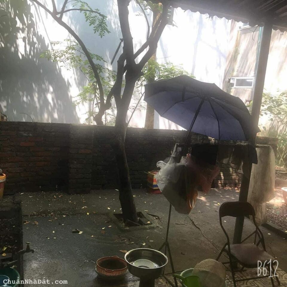 BÁN ĐẤT MẶT PHỐ NGHI TÀM - VỊ TRÍ ĐẮC ĐỊA - KINH DOANH SẦM UẤT - GIÁ ĐẦU TƯ 