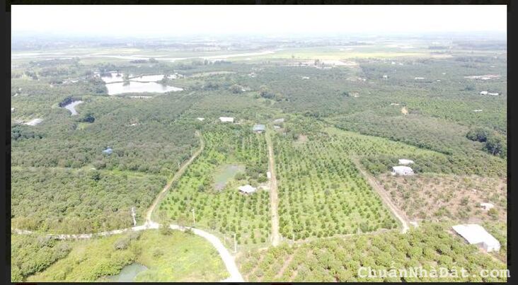 Đất nền nhà vườn Định Quán gần khu du lích Tropcal Glamping Đất nền nhà vườn Định Quán gần khu du lích Tropcal Glamping