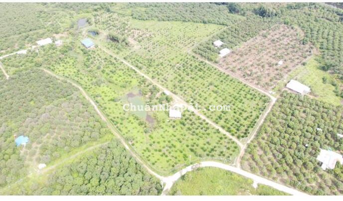 Đất nền nhà vườn Định Quán gần khu du lích Tropcal Glamping Đất nền nhà vườn Định Quán gần khu du lích Tropcal Glamping