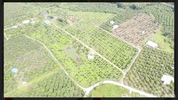 Đất nền nhà vườn Định Quán gần khu du lích Tropcal Glamping Đất nền nhà vườn Định Quán gần khu du lích Tropcal Glamping