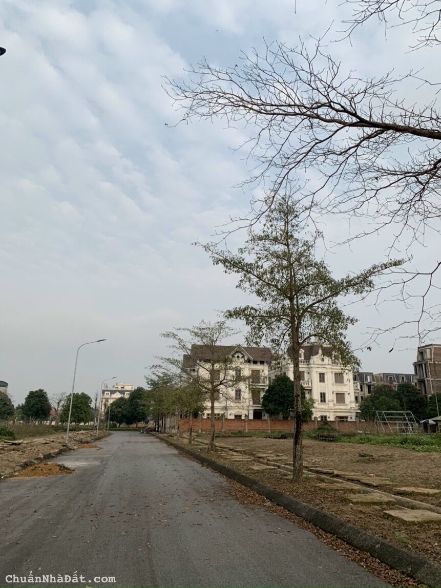 Bán hai lô đất liền kề kiểu shophouse CL 53, CL 56 khu đô thị Hoà Lạc Thiên Mã