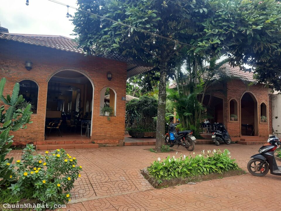 🔥Siêu phẩm đất nền sổ đỏ có sẵn tại trung tâm xã Phú Lộc, Krông Năng 💰