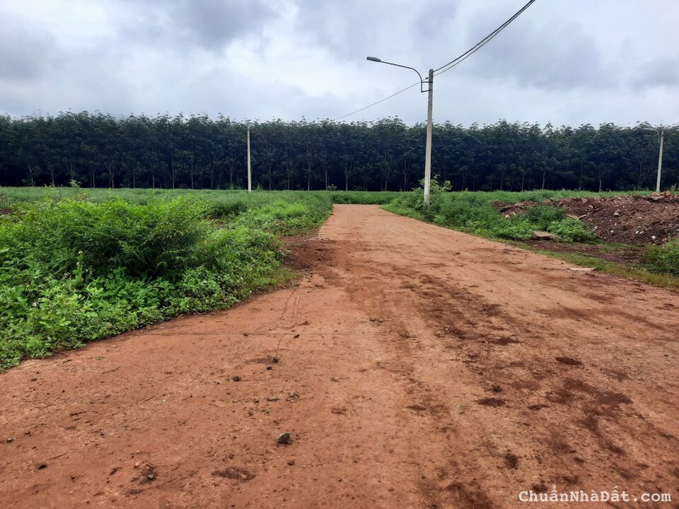 Đất nền full thổ cư sổ đỏ trung tâm Phú Lộc, Krông Năng chỉ với 900 Triệu