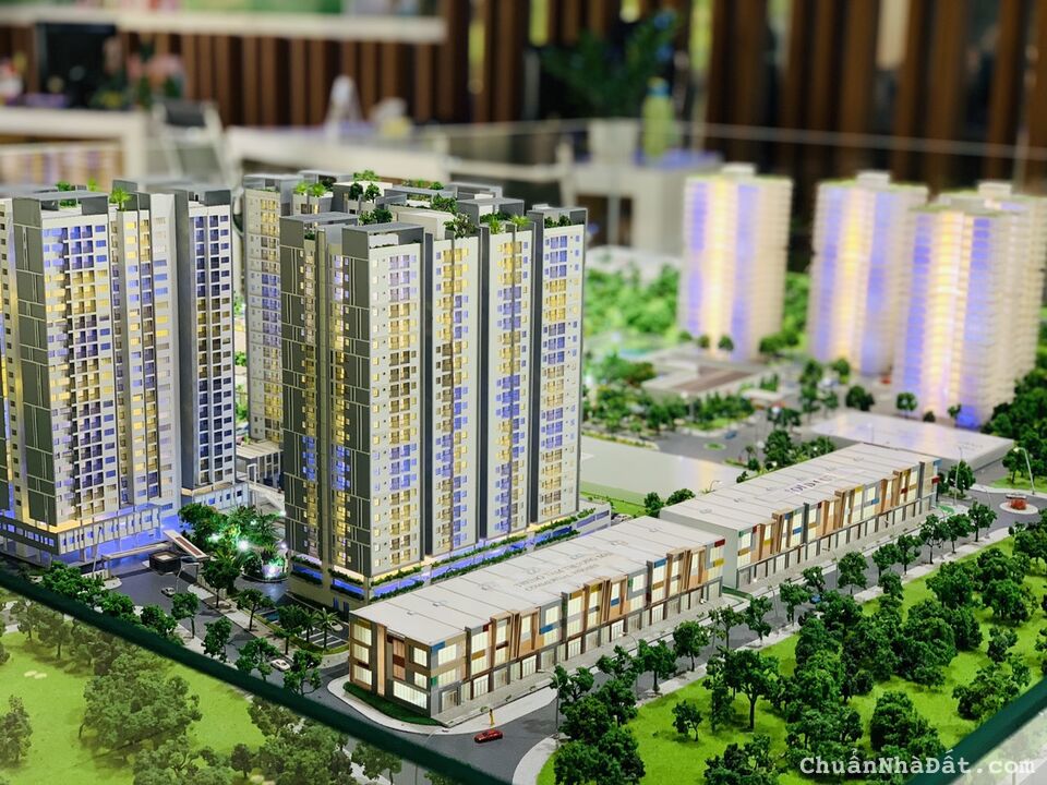 ĐÓN TẾT CÙNG ECO XUÂN- NHÀ LÝ TƯỞNG-HƯỞNG AN NHÀN