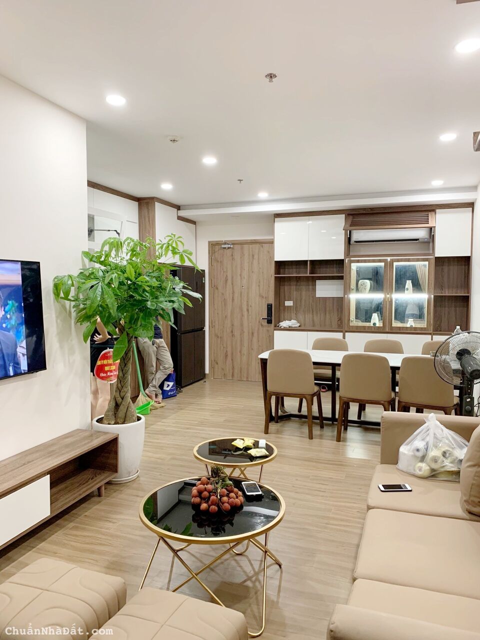 Trực tiếp chủ đầu tư Ecopark - Cho thuê căn hộ chung cư SkyOasis, AquaBay, WestBay