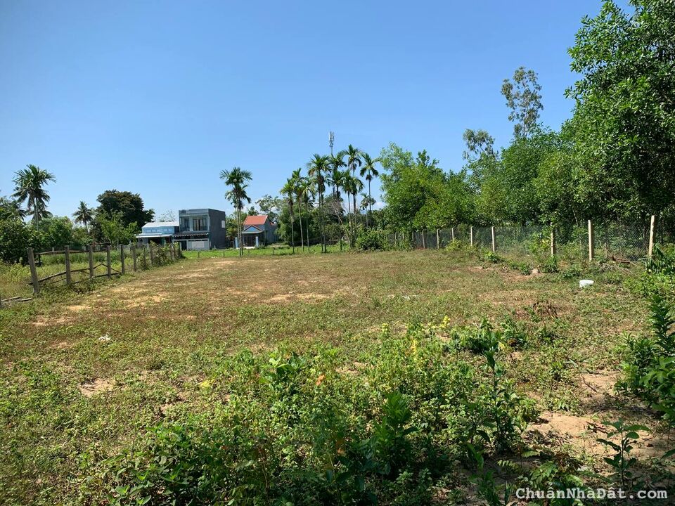 lô đôi dt 874m2 có 400m2 đất ở. đường 5m. cách quốc lộ 1A 250m. đất vuông vức, sạch sẽ. cao ráo.