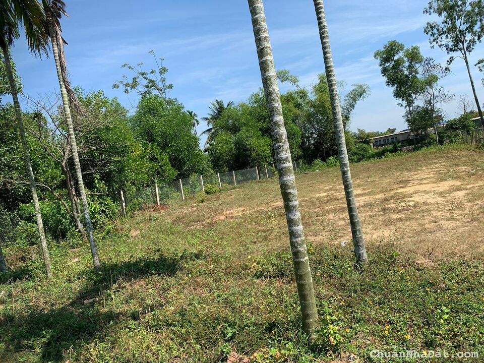 lô đôi dt 874m2 có 400m2 đất ở. đường 5m. cách quốc lộ 1A 250m. đất vuông vức, sạch sẽ. cao ráo.