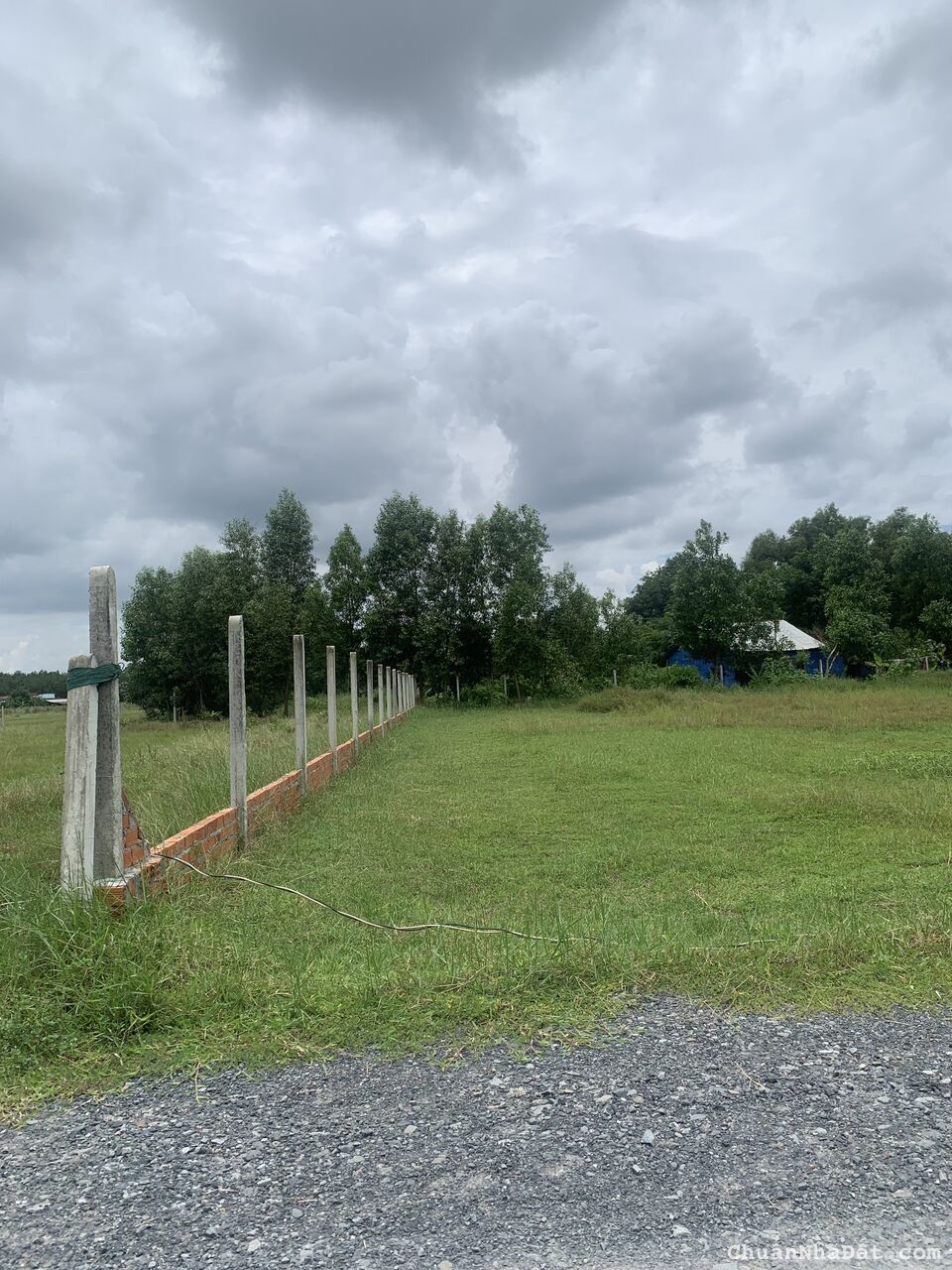 Chính Chủ bán đất thổ cư Long Chữ- Bến Cầu- Tây Ninh 200m2 giá 900 triệu