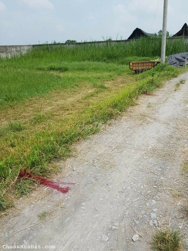 Đất thổ cư Bình Mỹ - Củ Chi 120m2 giá 1 tỷ 8 